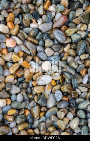 Una straordinaria collezione di ciottoli lisci e colorati crea un mosaico naturale. Questo modello geologico mostra una varietà di terrosi, pastello e tenui Foto Stock