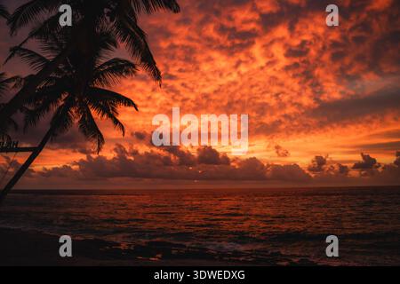 Una splendida scena al tramonto su un tranquillo oceano tropicale alle Maldive, con vivaci tonalità arancio e rosso che illuminano il cielo e le palme che si stagliano Foto Stock
