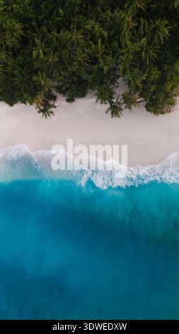Splendida vista aerea di una tranquilla spiaggia delle Maldive, caratterizzata da sabbia dorata, lussureggianti alberi tropicali e dalle vibranti onde turchesi dell'oceano che lambiscono dolcemente il sh Foto Stock