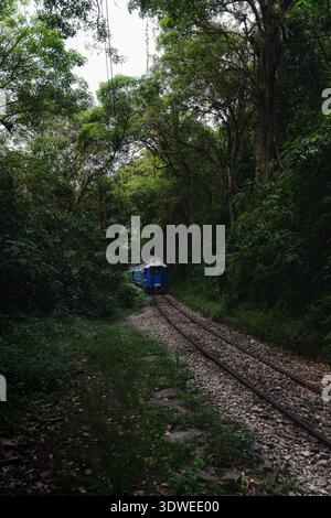 Un treno blu vibrante viaggia attraverso la fitta vegetazione di una foresta pluviale andina. La scena cattura l'atmosfera tranquilla e la bellezza naturale del Perù Foto Stock