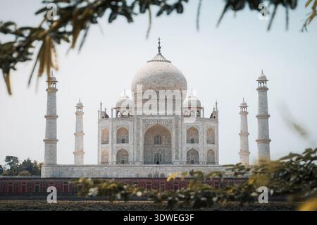 L'iconico Taj Mahal si erge maestosamente contro il cielo limpido di Agra, India, incorniciato da una vegetazione lussureggiante. Questo capolavoro dell'architettura moghul simboli Foto Stock