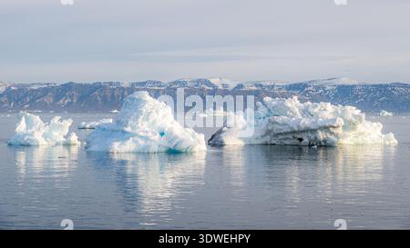 Gli splendidi iceberg galleggiano serenamente nelle acque al largo di Saqqaq, in Groenlandia, illuminati dalla luce soffusa del sole di mezzanotte. Montagne maestose sorgono nel Foto Stock