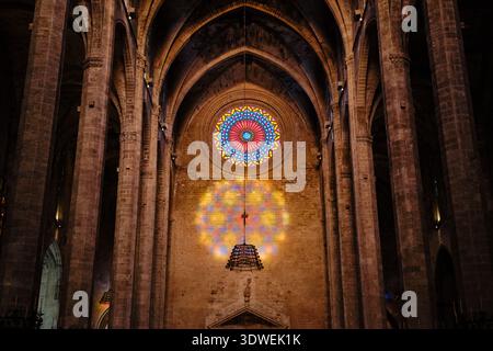 Rosone ornato che proietta luce colorata su pareti in pietra e antiche colonne all'interno della cattedrale gotica Foto Stock