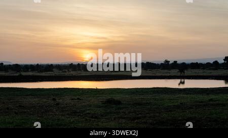 Serena alba sul lago Naivasha a Kenia, con il sole che getta un bagliore dorato sull'acqua. Sagome di alberi lontani e fauna selvatica si aggiungono al pe Foto Stock