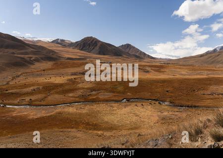 Scopri i vasti paesaggi aperti del Kirghizistan, dell'Asia centrale, con colline ondulate, catene montuose lontane e un fiume serpeggiante che cattura il Foto Stock