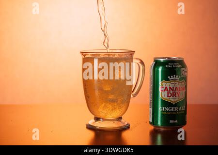 Canada Ginger ale secco versato in una tazza di vetro con ghiaccio. Foto Stock