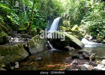 Cascata DI YEH HOO, nella reggenza Tabanan di Bali, Indonesia, con splendide vibrazioni della foresta Foto Stock