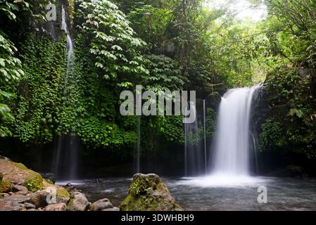 Cascata DI YEH HOO, nella reggenza Tabanan di Bali, Indonesia, con splendide vibrazioni della foresta Foto Stock