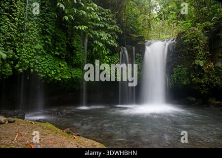 Cascata DI YEH HOO, nella reggenza Tabanan di Bali, Indonesia, con splendide vibrazioni della foresta Foto Stock