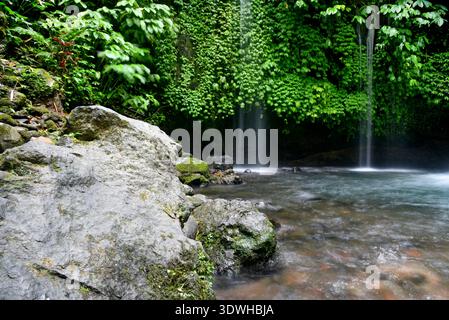 Cascata DI YEH HOO, nella reggenza Tabanan di Bali, Indonesia, con splendide vibrazioni della foresta Foto Stock