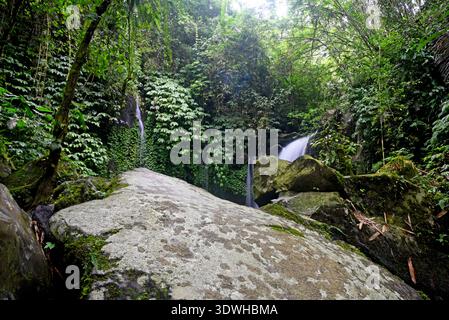 Cascata DI YEH HOO, nella reggenza Tabanan di Bali, Indonesia, con splendide vibrazioni della foresta Foto Stock
