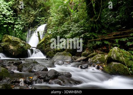 Cascata DI YEH HOO, nella reggenza Tabanan di Bali, Indonesia, con splendide vibrazioni della foresta Foto Stock