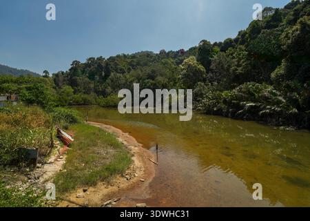 Una vista serena di un fiume tranquillo e salmastro che si snoda attraverso una fitta giungla tropicale con un vivace fogliame verde, alberi di mangrovie e una costa sabbiosa unde Foto Stock