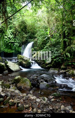 Cascata DI YEH HOO, nella reggenza Tabanan di Bali, Indonesia, con splendide vibrazioni della foresta Foto Stock