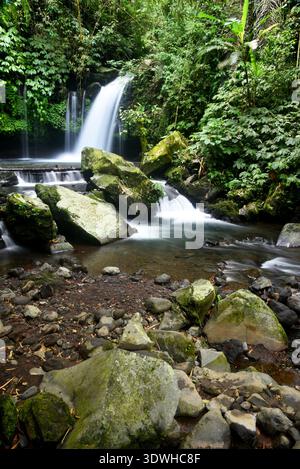 Cascata DI YEH HOO, nella reggenza Tabanan di Bali, Indonesia, con splendide vibrazioni della foresta Foto Stock