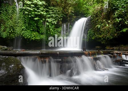 Cascata DI YEH HOO, nella reggenza Tabanan di Bali, Indonesia, con splendide vibrazioni della foresta Foto Stock