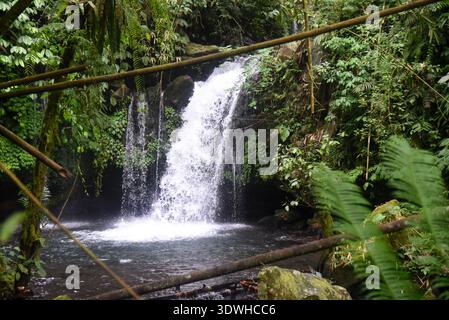 Cascata DI YEH HOO, nella reggenza Tabanan di Bali, Indonesia, con splendide vibrazioni della foresta Foto Stock