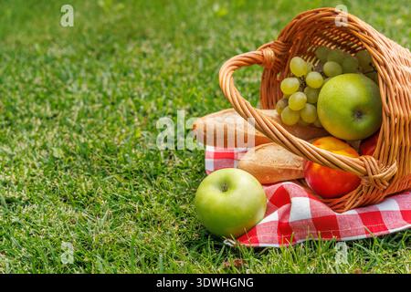 Cestino da picnic con frutta e baguette adagiate su un prato verde soleggiato Foto Stock
