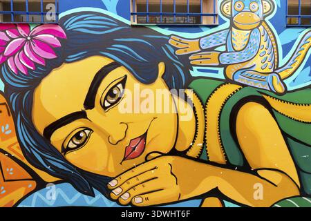 Cordoba Argentina, 12 gennaio murale di una donna indiana su un muro del nord di Cordoba. Riprese il 12 gennaio 2020, Cordoba, Argentina Foto Stock