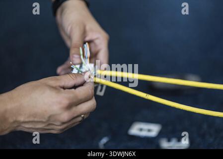 Specialista di collegare un cavo di rete con connettori femmina RJ45, processo per la posa della rete locale Foto Stock