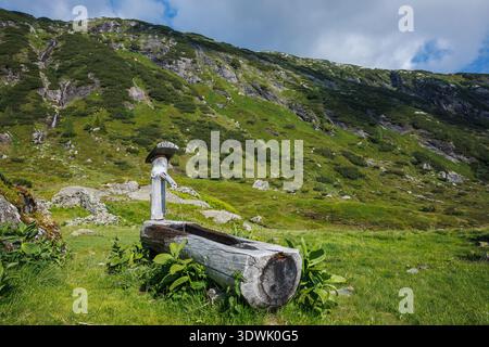 Tradizionale canale d'acqua in legno sul prato alpino. Sentiero escursionistico in Stiria, Austria, con uno splendido paesaggio montano dietro una fontana rustica Foto Stock