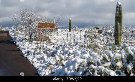 Paesaggio desertico innevato con un cartello a Saguaro NP, Arizona Foto Stock