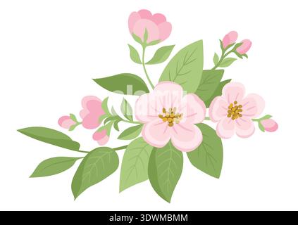 Fiori primaverili. Fiore dell'albero di mela con foglie verdi su sfondo bianco Illustrazione Vettoriale