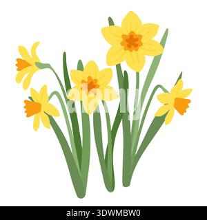 Fiori da giardino primaverili, narcisi con foglie verdi. Illustrazione vettoriale delle piante primaverili Illustrazione Vettoriale