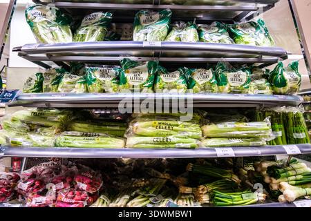 Londra Regno Unito, febbraio 27 2026, Selezione di supermercato insalata fresca sana ingredienti vegetali Foto Stock