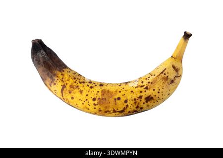 Banana di colore giallo ultrapuro con macchie marrone scuro e muffa isolata su sfondo bianco. Spreco di cibo. Frutta rovinata. Foto Stock