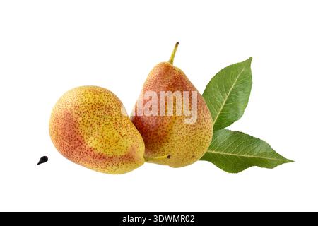 Due frutti rossi gialli interi maturi con un primo piano di foglie verdi isolati su sfondo bianco. Cibo sano. Pera Forelle fresca. Foto Stock