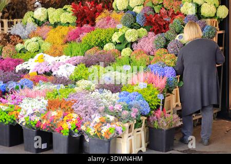 Francia, Parigi, rue du Faubourg du Temple, fiorista Foto Stock