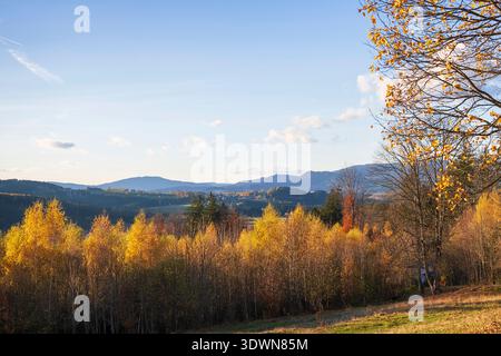 Foresta autunnale colorata che si estende su colline ondulate sotto il cielo limpido. Panorama naturale stagionale. Foto Stock
