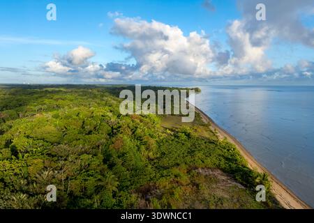 Francia, Guyana francese, Kourou, zone umide, foreste e savane protette all'interno del centro spaziale e gestite dall'Ufficio forestale nazionale (ONF), confina a nord-est con la spiaggia di Kourou (vista aerea) Foto Stock