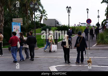 Persone che passeggiano lungo la Promenade des Anglais a Nizza, in Francia, con palme, una coppia anziana che cammina con il loro cane piccolo, sotto un cielo coperto. Foto Stock