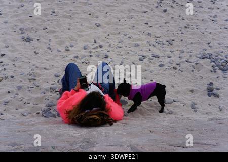 Donna sdraiata sulla spiaggia di ciottoli di Nizza, Francia, che scatta una foto con il suo giocoso bulldog francese che indossa una giacca viola nelle vicinanze.Nizza, Francia Foto Stock