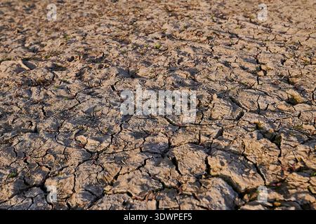 Vista ravvicinata della terra gravemente incrinata, simbolo visivo della siccità, della mancanza di acqua e della desertificazione. Il terreno parcheggiato mostra condizioni asciutte e aride Foto Stock
