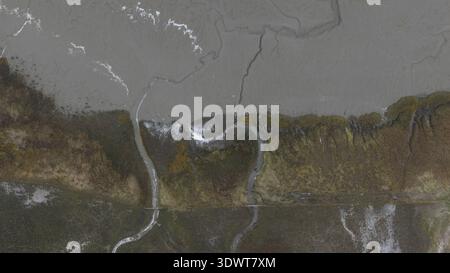 Vista aerea di un paesaggio in cui i tortuosi corsi d'acqua si intagliano attraverso la terra, creando un arazzo di pianure fangose e vegetazione, Nieuw Namen, Zeeland, N Foto Stock