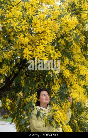 Donna sotto l'albero di mimosa in fiore in Abkhazia, fiori gialli, fogliame verde e luce del giorno tenue creano un ritratto della natura primaverile. Promozione turistica Foto Stock