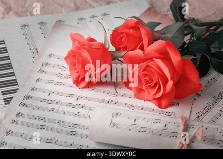 Bouquet di fiori rosa di corallo in fiore adagiato su note musicali di sottofondo. Grunge spartiti di note musicali con un bellissimo fiore. Foto Stock
