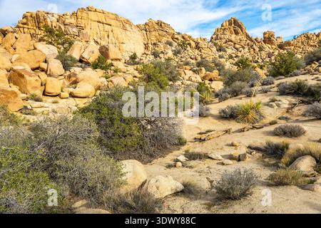 Il sentiero roccioso del deserto si snoda attraverso formazioni rocciose illuminate dal sole nell'area della Hidden Valley del Joshua Tree National Park California Foto Stock