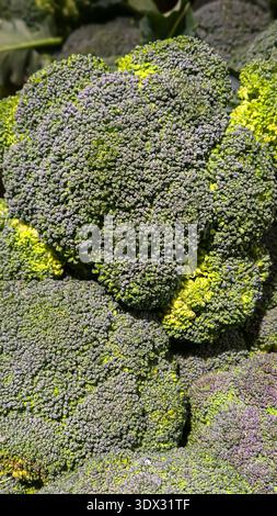 Fiori di broccoli verdi in scatole sugli scaffali dei negozi. Esposizione e vendita di verdure. Foto Stock