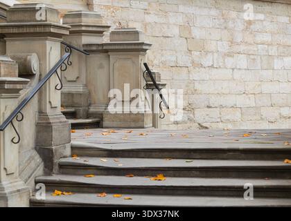 Una vista esterna di una grande scalinata in pietra con ringhiere decorative e foglie gialle sparse sui gradini intemprati, che suggeriscono un canale stagionale Foto Stock