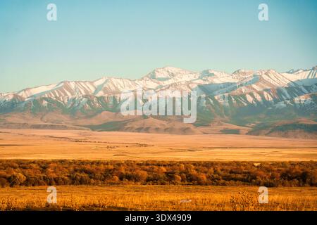 Vista panoramica della catena montuosa innevata con un campo d'oro autunnale in una remota natura selvaggia Foto Stock