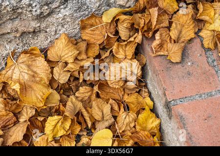 Un mucchio di foglie secche d'autunno marroni e gialle accumulate nell'angolo di un muro di pietra e mattoni, passo al vento. Foto Stock