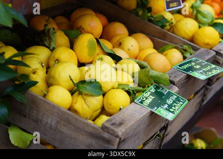 Limoni gialli freschi con foglie verdi esposti in casse di legno in un vivace bancone all'aperto del mercato.Mentone, Francia Foto Stock