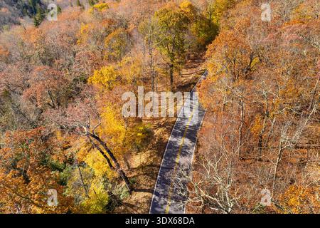 Blue Ridge Parkway Road nei boschi autunnali dei monti Appalachi al tramonto con baldacchini gialli e arancioni nella foresta colorata. Guida su strada Foto Stock