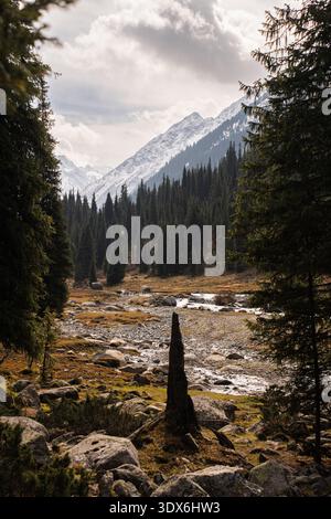 Fiume di montagna che scorre attraverso la valle rocciosa circondata da pinete e vette innevate in Kirghizistan. Tranquillo paesaggio alpino selvaggio. Foto Stock
