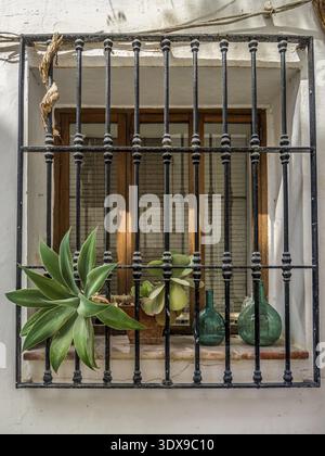 Tipica finestra di casa spagnola con griglia a finestra decorata con piante della casa sul pannello della finestra Foto Stock