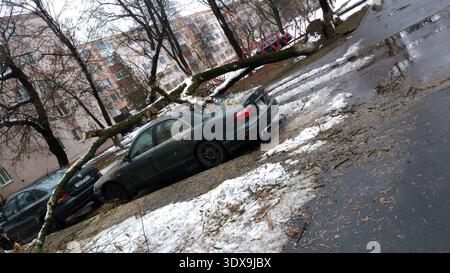Gli ambienti architettonici. Un albero caduto su un'auto. Foto Stock